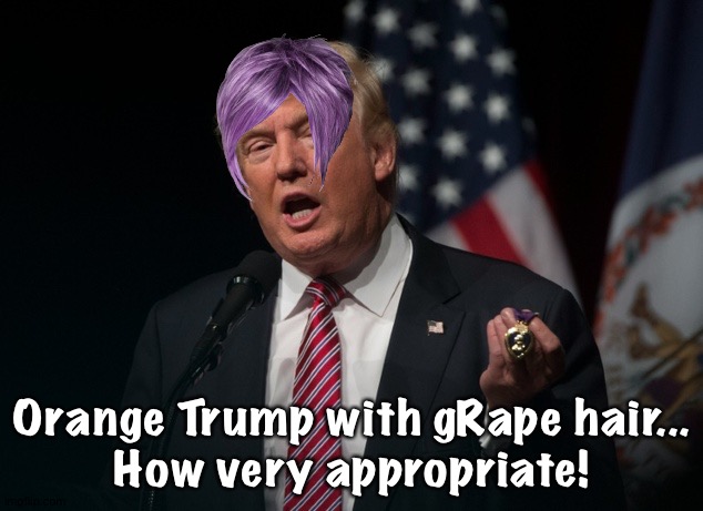 grape hair for a grape heart | Orange Trump with gRape hair...
How very appropriate! | image tagged in trump purple heart | made w/ Imgflip meme maker