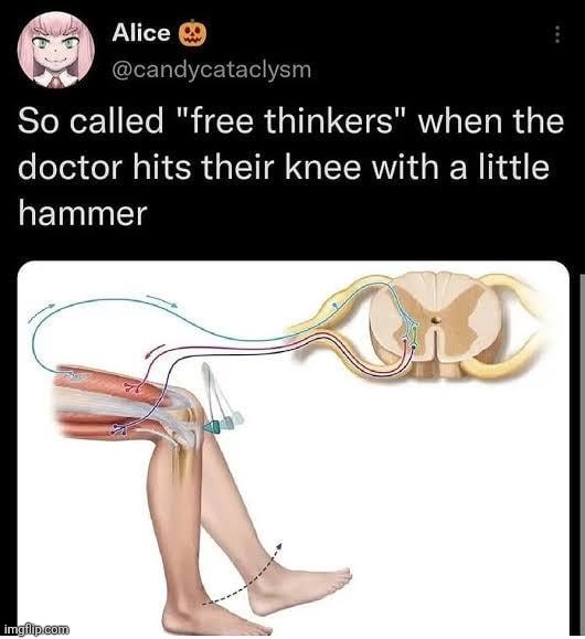 lmao i love this | made w/ Imgflip meme maker