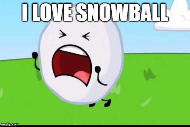 BFDI Snowball NOOOOO | I love snowball | image tagged in bfdi snowball nooooo | made w/ Imgflip meme maker