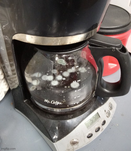 moldy coffee | image tagged in moldy coffee | made w/ Imgflip meme maker