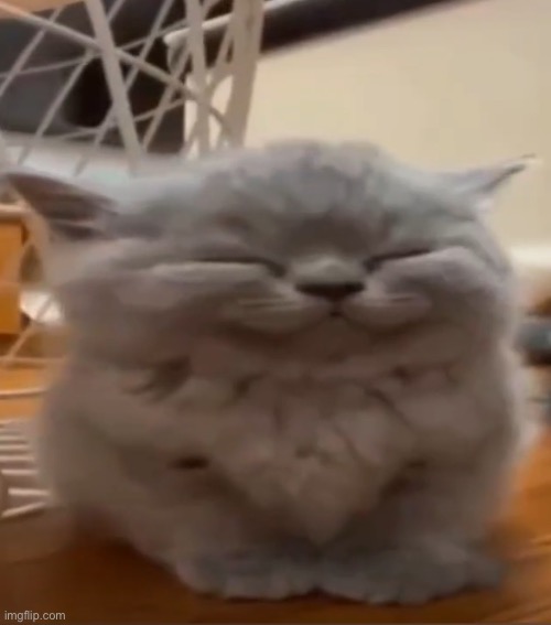 m | image tagged in chill little guy | made w/ Imgflip meme maker