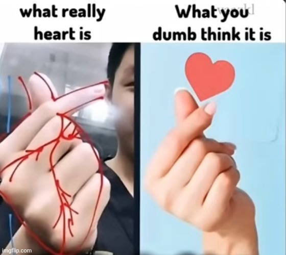 YO WHAT | image tagged in heart,asian,fingers,hand,lore drop,memes | made w/ Imgflip meme maker