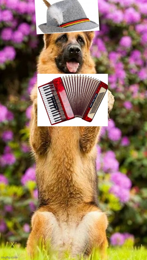 german | image tagged in german | made w/ Imgflip meme maker