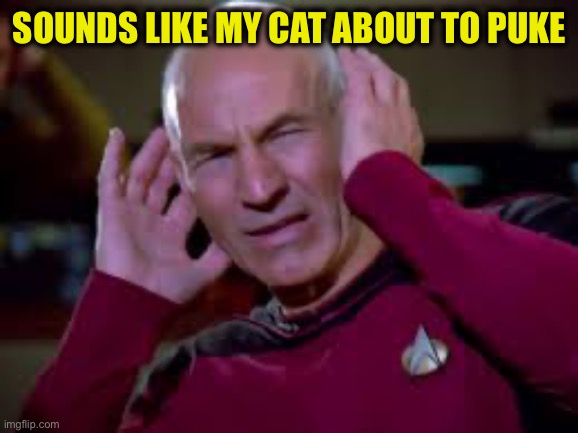 Captain Picard Covering Ears | Sounds like my cat about to puke | image tagged in captain picard covering ears | made w/ Imgflip meme maker