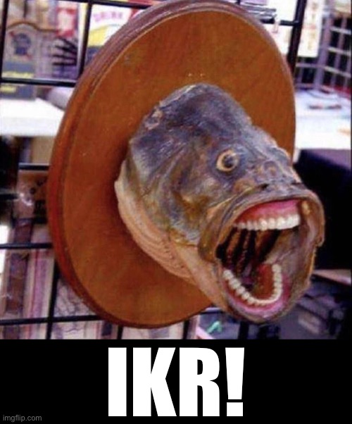 Ikr! | made w/ Imgflip meme maker