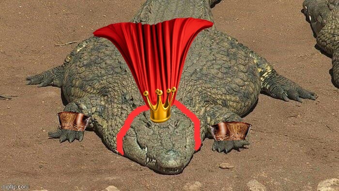 This banana-konsuming kreature | image tagged in thicc crocodile,king k rool | made w/ Imgflip meme maker