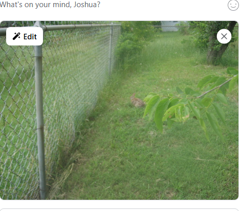 E.G. X ALL THE Y Blank Meme Template