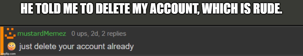 To the moderators of Imgflip. | He told me to delete my account, which is rude. | image tagged in message | made w/ Imgflip meme maker