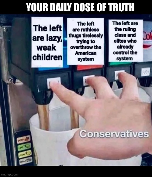 Why is it the truth?? | Your daily dose of truth | image tagged in losers,conservatives | made w/ Imgflip meme maker