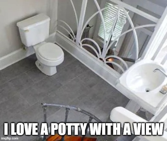 I C U P | I love a potty with a view | image tagged in you had one job | made w/ Imgflip meme maker