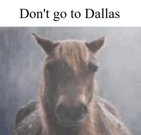 Don't go to Dallas Blank Meme Template