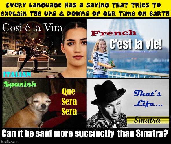 Sinatra Vs. the Romance Languages | image tagged in vince vance,that's life,languages,frank sinatra,memes,c'est la vie | made w/ Imgflip meme maker