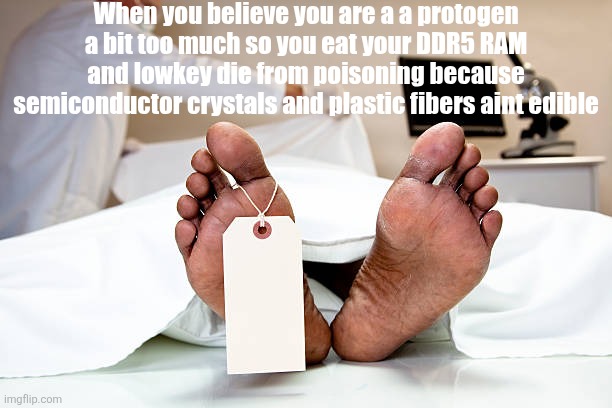 Happens | When you believe you are a a protogen a bit too much so you eat your DDR5 RAM and lowkey die from poisoning because semiconductor crystals and plastic fibers aint edible | image tagged in corpse | made w/ Imgflip meme maker