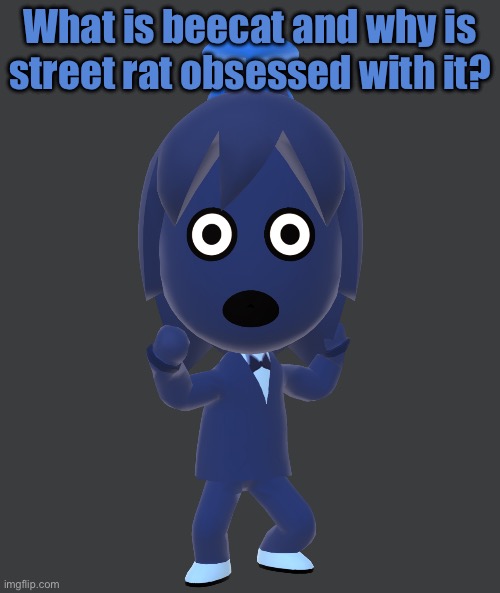 for | What is beecat and why is street rat obsessed with it? | image tagged in for | made w/ Imgflip meme maker