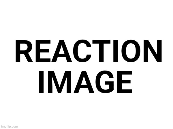 Reaction image | made w/ Imgflip meme maker