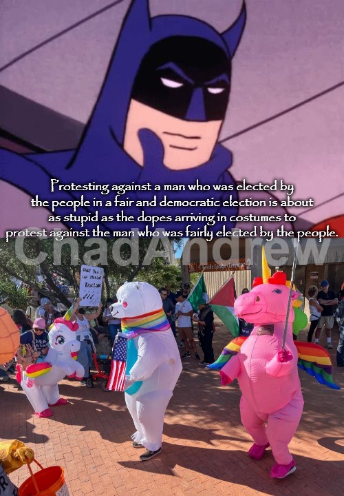 Seriously, what is wrong with these people? | Protesting against a man who was elected by the people in a fair and democratic election is about as stupid as the dopes arriving in costumes to protest against the man who was fairly elected by the people. | image tagged in batman pondering,crying democrats,no kings,protesting,fools | made w/ Imgflip meme maker