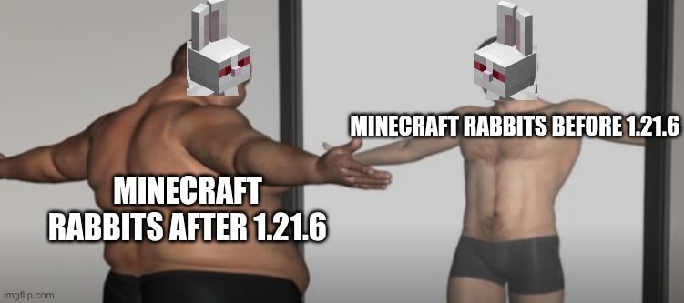 FAT MAN MIRROR | Minecraft Rabbits before 1.21.6; Minecraft Rabbits after 1.21.6 | image tagged in fat man mirror | made w/ Imgflip meme maker