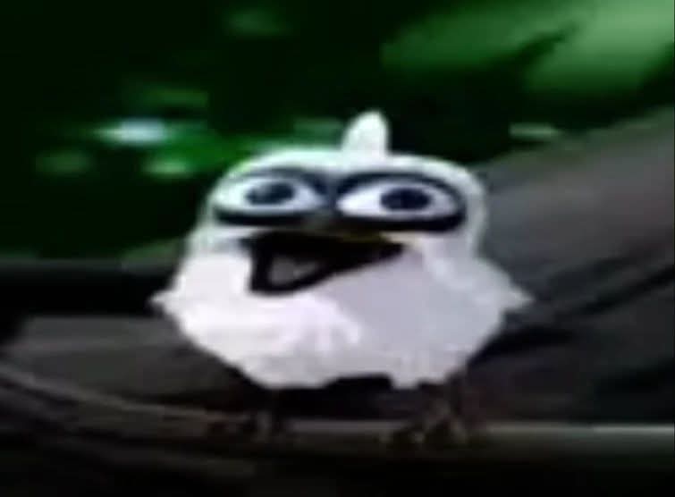 screaming bird Blank Meme Template