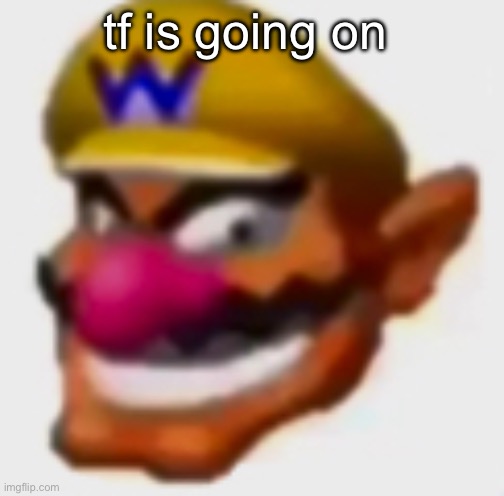 wario | tf is going on | image tagged in wario | made w/ Imgflip meme maker