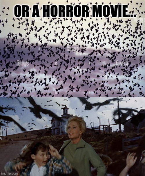 Or a horror movie... | made w/ Imgflip meme maker