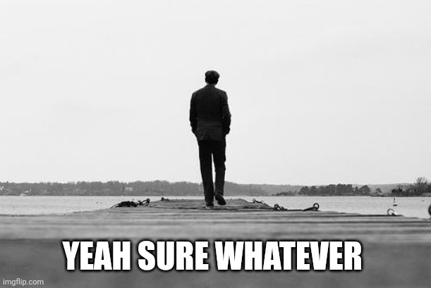 Yeah sure whatever | image tagged in walk away | made w/ Imgflip meme maker