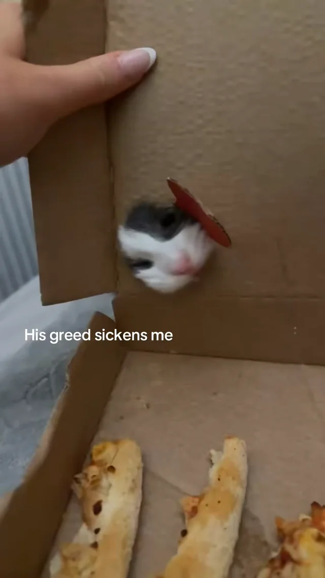 His greed sickens me Blank Meme Template