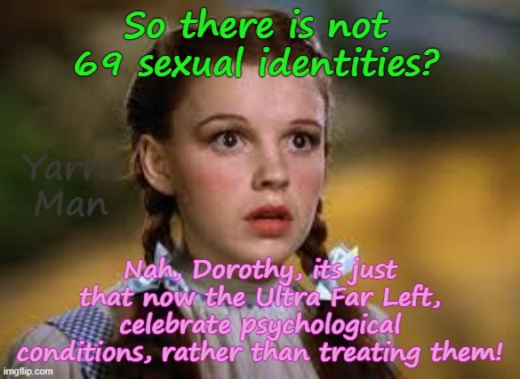 So is there really 69 sexual identities? | So there is not 69 sexual identities? Yarra Man; Nah, Dorothy, its just that now the Ultra Far Left, celebrate psychological conditions, rather than treating them! | image tagged in ultra far left democrats labour labor,uik australia canada,self gratification by proxy,woke virtue signalling,progressive | made w/ Imgflip meme maker