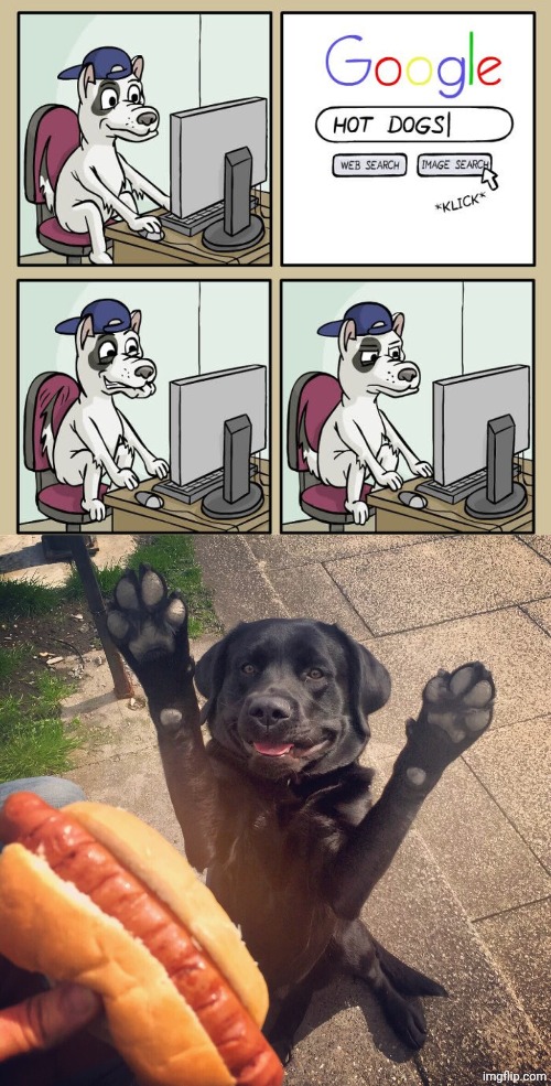 Hot dogs | image tagged in hot dog face,memes,hot dogs,google,dog,comics/cartoons | made w/ Imgflip meme maker