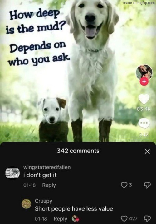 made w/ Imgflip meme maker