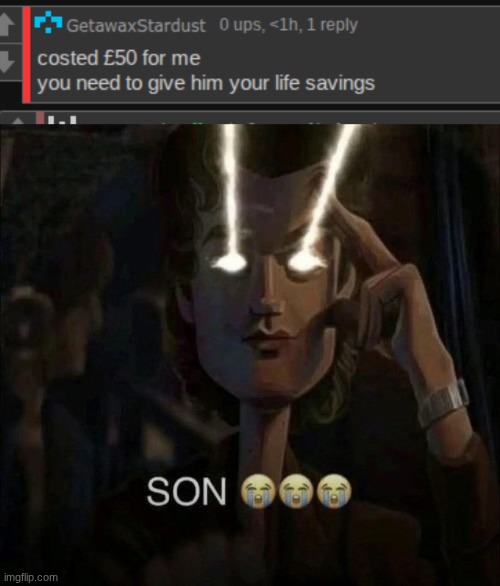 genuinely spending 60 usd on this shit is insane holy, find a hobby mate | image tagged in son | made w/ Imgflip meme maker