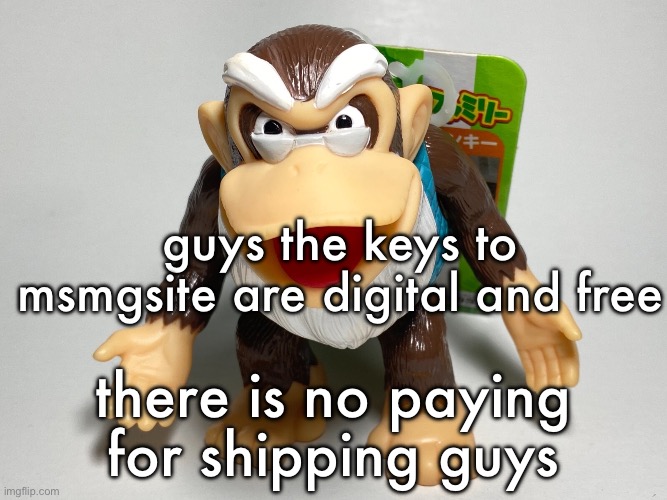 i’m so intelligent | guys the keys to msmgsite are digital and free; there is no paying for shipping guys | image tagged in cranky kong | made w/ Imgflip meme maker