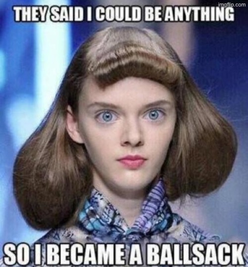 A Ballsack? | image tagged in they said i could be anything,hilarious memes,balls,hairstyle,fun,idk girl | made w/ Imgflip meme maker