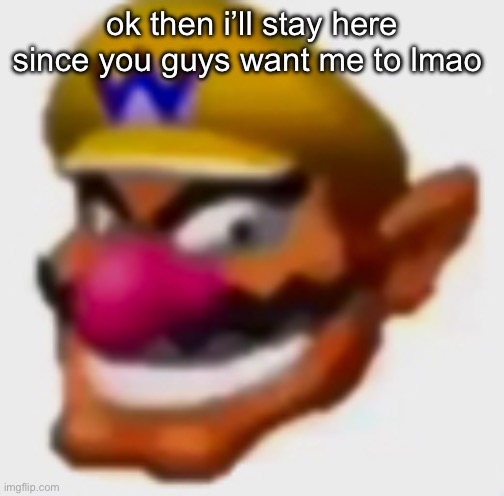 wario | ok then i’ll stay here since you guys want me to lmao | image tagged in wario | made w/ Imgflip meme maker