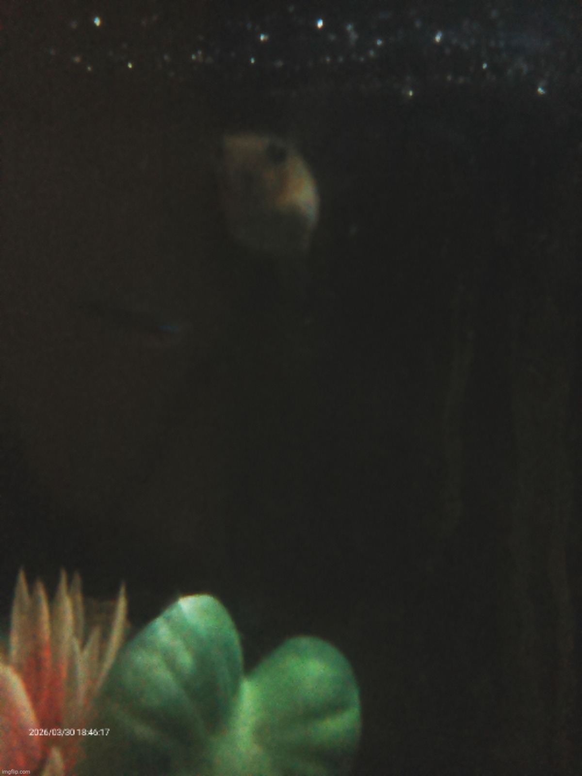 Pose for the fans !!! | made w/ Imgflip meme maker