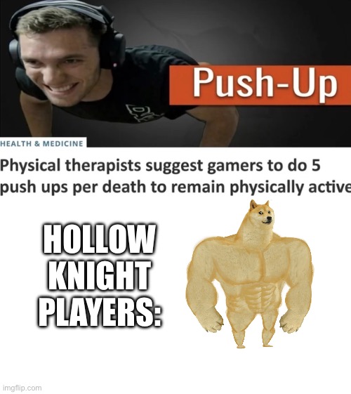 Hollow knight players: | made w/ Imgflip meme maker