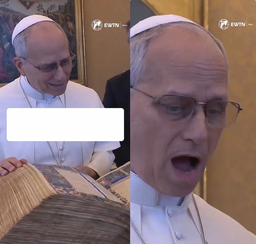 Pope Leo shocked Blank Meme Template