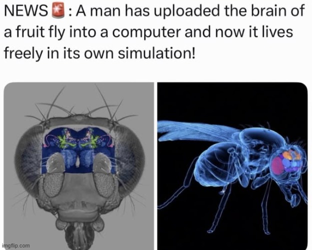 they should do this to me | made w/ Imgflip meme maker