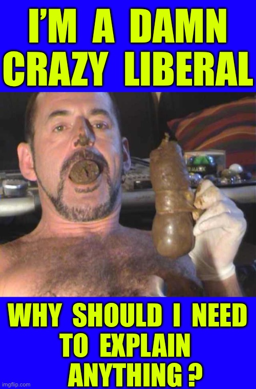 LIBERAL ART . . . or JUST LUNACY ???  : ) | I’m  A  damn
Crazy  Liberal; Why  should  I  Need 
to  explain 
   Anything ? | image tagged in eat shit,toilet humor,sweet brown,delicious,desert | made w/ Imgflip meme maker