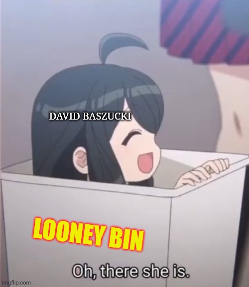 No no he's got a point Roblox edition | David Baszucki; Looney bin | image tagged in oh there she is | made w/ Imgflip meme maker