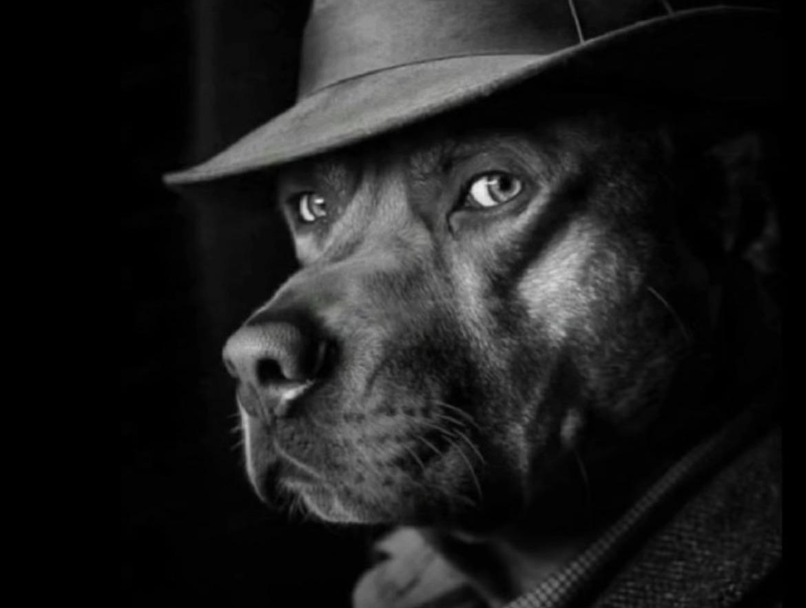 Dog Detective Blank Meme Template