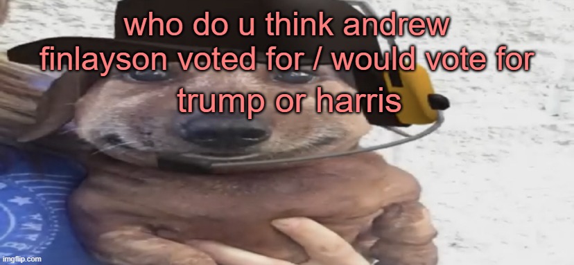 chucklenuts | who do u think andrew finlayson voted for / would vote for; trump or harris | image tagged in chucklenuts | made w/ Imgflip meme maker