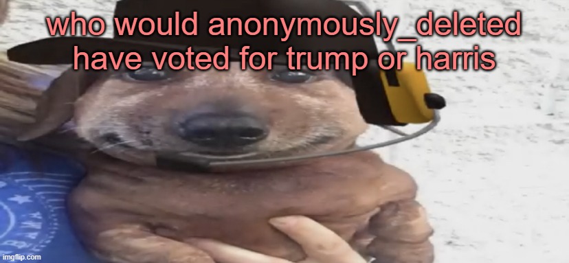 chucklenuts | who would anonymously_deleted have voted for trump or harris | image tagged in chucklenuts | made w/ Imgflip meme maker