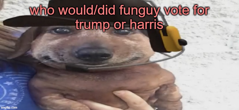 chucklenuts | who would/did funguy vote for
trump or harris | image tagged in chucklenuts | made w/ Imgflip meme maker