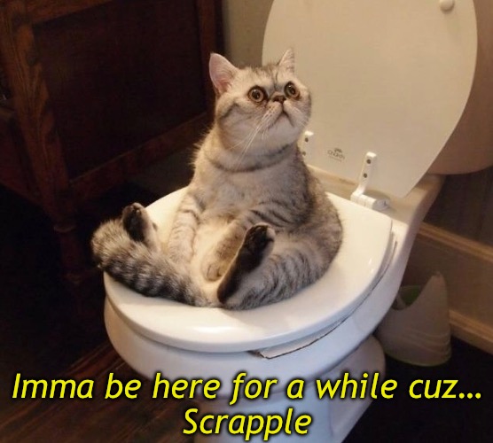 Imma be here for a while cuz…
Scrapple | made w/ Imgflip meme maker