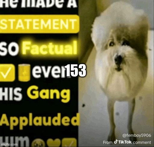 he made a statement so factual | 153 | image tagged in he made a statement so factual | made w/ Imgflip meme maker