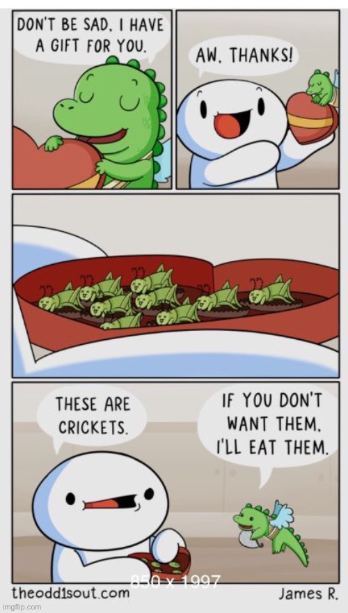 The Odd 1s Out | image tagged in comics,the odd 1s out,dragon,gift,crickets,cheer up | made w/ Imgflip meme maker