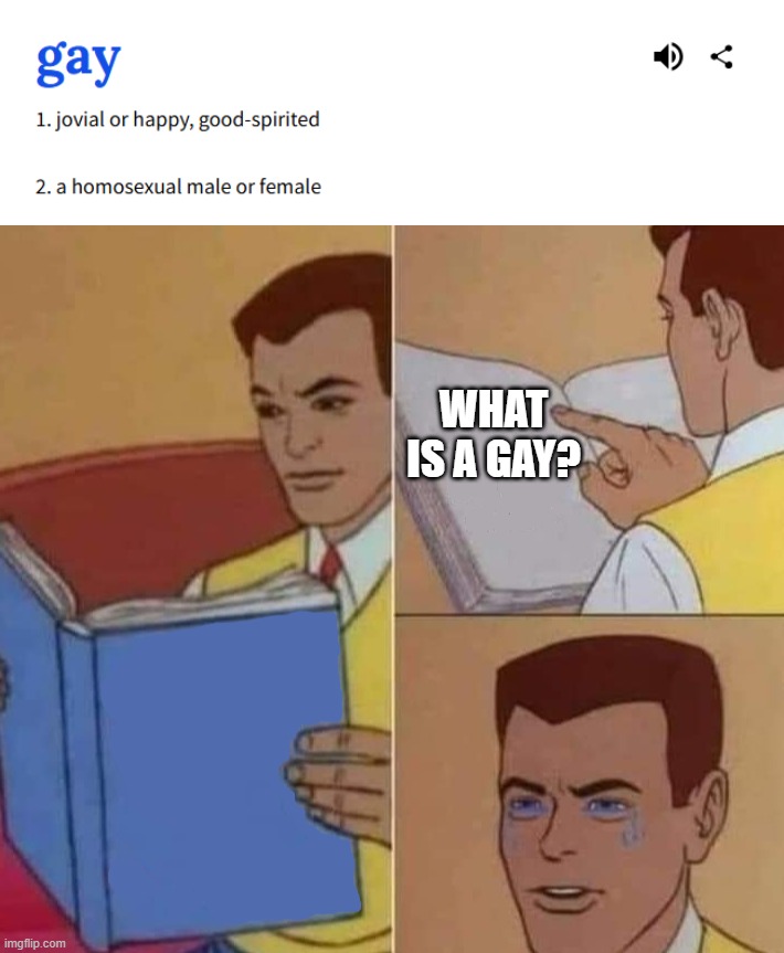 what is a gay? | what is a gay? | image tagged in peter parker reading book crying | made w/ Imgflip meme maker