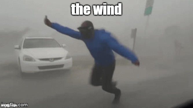 Windy Hurricane Reporter | the wind | image tagged in windy hurricane reporter | made w/ Imgflip meme maker