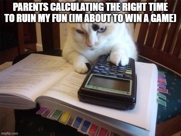 parents calculating the right time to ruin my fun (Im about to win a game) | image tagged in math cat | made w/ Imgflip meme maker