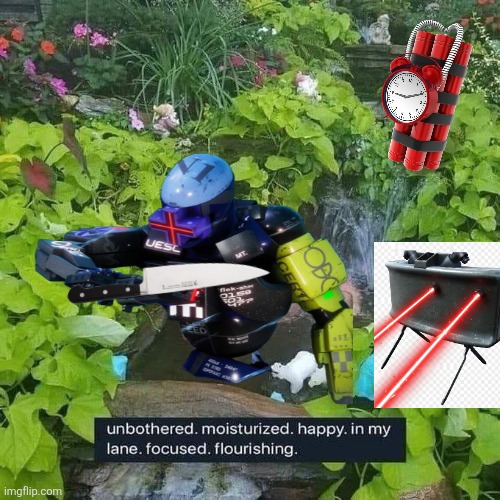 Rook | image tagged in unbothered moisturized happy in my lane focused flurishing | made w/ Imgflip meme maker